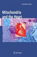Mitochondria and the Heart (Marin-Garcia Jose)(Paperback)