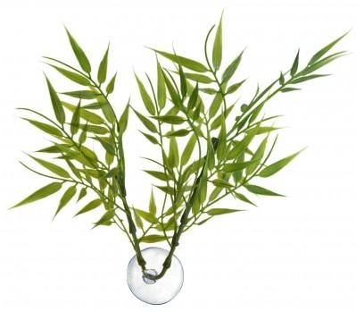 Zoo Med Rostlina akvarijní Betta Plant Bamboo