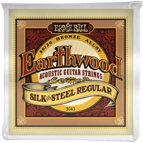 Ernie Ball Earthwood Silk & Steel Regular