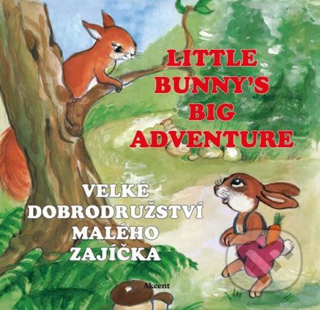 Velké dobrodružství malého zajíčka / Little Bunny's Big Adventure - Ludmila Šnajderová