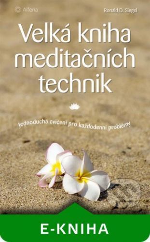 Velká kniha meditačních technik - Ronald D. Siegel