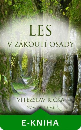 Les v zákoutí osady - Vítězslav Říčka
