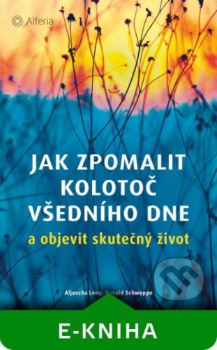 Jak zpomalit kolotoč všedního dne - Aljoscha Long, Ronald Schweppe
