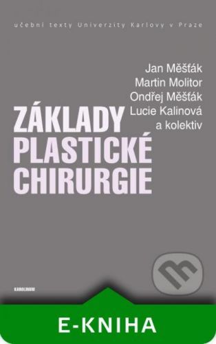 Základy plastické chirurgie - Jan Měšťák, Martin Molitor, Ondřej Měšťák, Lucie Kalinová a kolektiv