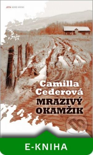 Mrazivý okamžik - Camilla Ceder