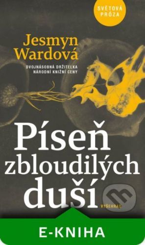 Píseň zbloudilých duší - Jesmyn Wardová