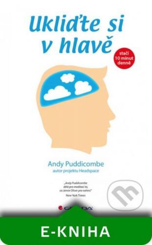 Ukliďte si v hlavě - Andy Puddicombe