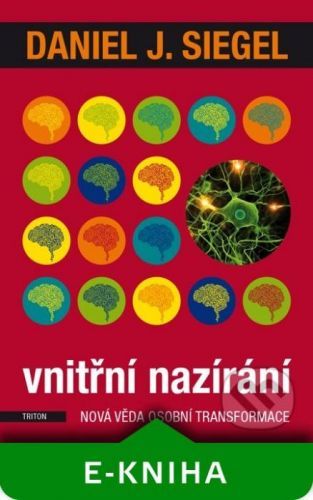 Vnitřní nazírání - Daniel J. Siegel