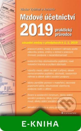 Mzdové účetnictví 2019 - Václav Vybíhal