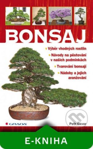 Bonsaj - Petr Škvor