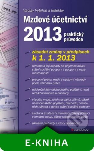 Mzdové účetnictví 2013 - Václav Vybíhal a kolektiv