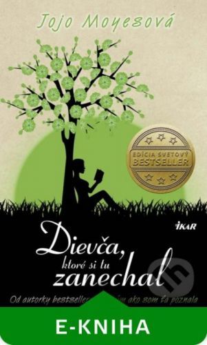 Dievča, ktoré si tu zanechal - Jojo Moyes