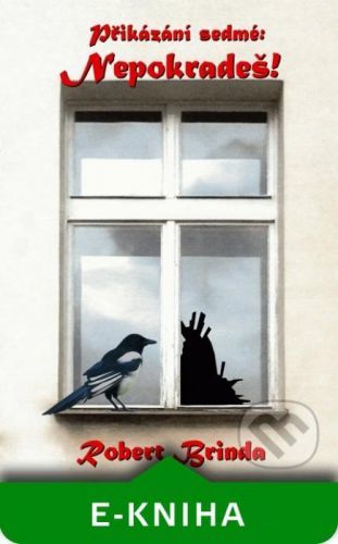 Přikázání sedmé: Nepokradeš - Robert Brinda