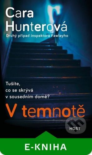 V temnotě - Cara Hunter