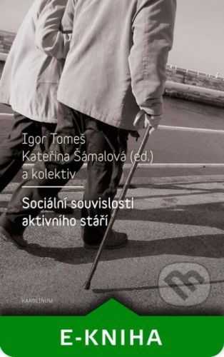 Sociální souvislosti aktivního stáří - Igor Tomeš, Kateřina Šámalová a kolektiv