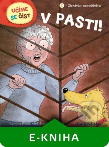 V pasti - Cynthia Rider, Aleš Brychta