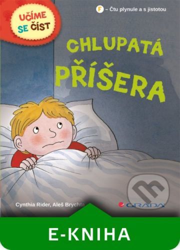 Chlupatá příšera - Cynthia Rider, Aleš Brychta