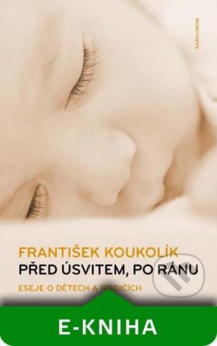 Před úsvitem, po ránu - František Koukolík