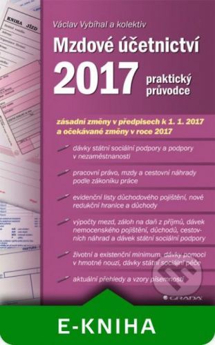 Mzdové účetnictví 2017 - Václav Vybíhal a kolektiv