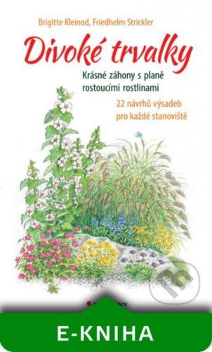 Divoké trvalky - Brigitte Kleinod, Friedhelm Strickler