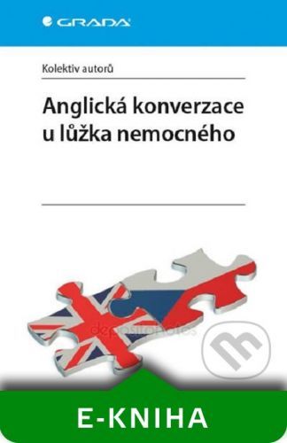 Anglická konverzace u lůžka nemocného - Kolektiv autorov