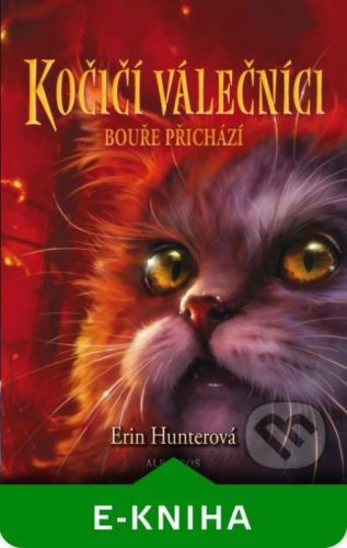 Kočičí válečníci (4) - Bouře přichází - Erin Hunter