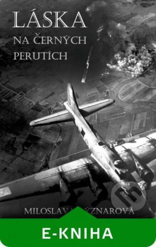 Láska na černých perutích - Miloslava Rýznarová