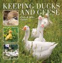 Keeping Ducks and Geese (Ashton Chris)(Paperback)