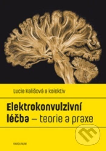 Elektrokonvulzivní léčba - Lucie Kališová