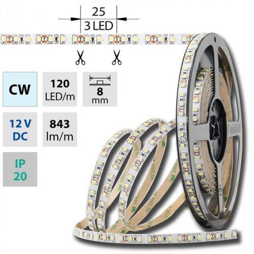 LED pásek SMD3528 studená bílá 8mm IP20 McLED 120 LED/metr, 9,6 W/metr, DC 12 V, IP20