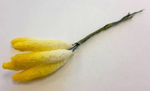 Pestíky P06 kala (5 ks - 11 cm)