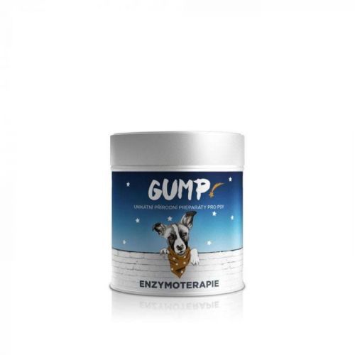 GUMP Preparát Enzymoterapie