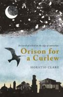 Orison for a Curlew - In Search of a Bird on the Edge of Extinction (Clare Horatio)(Paperback)