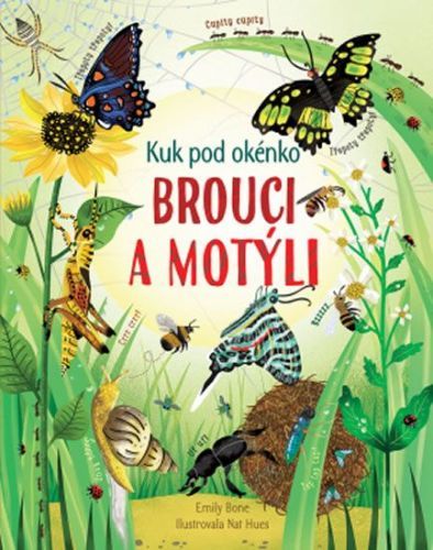 Kuk pod okénko - Brouci a motýli