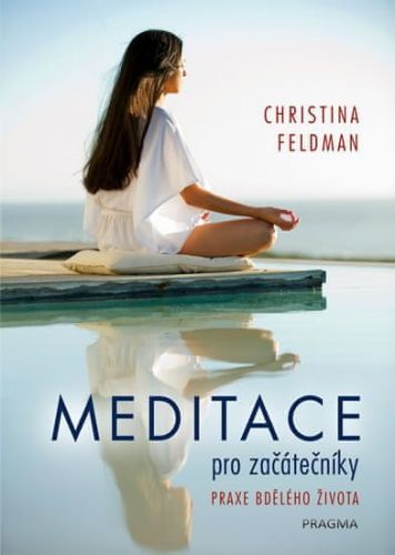 Feldman Christina: Meditace pro začátečníky - Praxe bdělého života