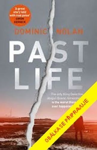 Nolan Dominic: Žena bez minulosti