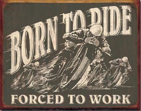 DESPERATE Plechová cedule BORN TO RIDE - Forced To Work, (40 x 31,5 cm)