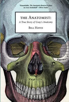 The Anatomist: A True Story of Gray's Anatomy (Hayes Bill)(Paperback)