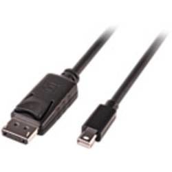 DisplayPort / Mini-DisplayPort kabel LINDY [1x mini DisplayPort zástrčka - 1x zástrčka DisplayPort] černá 3 m