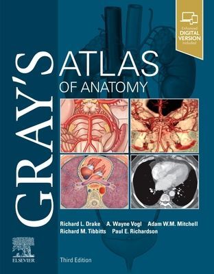Gray's Atlas of Anatomy (Drake Richard PhD FAAA Dr.)(Paperback / softback)