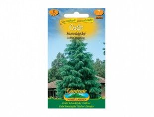 Nohelgarden Cedr himalájský