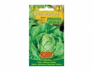 Nohelgarden Salát hlávkový letní DĚTENICKÁ ATRAKCE