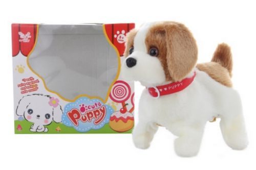 Pejsek hnědo-bílý chodící