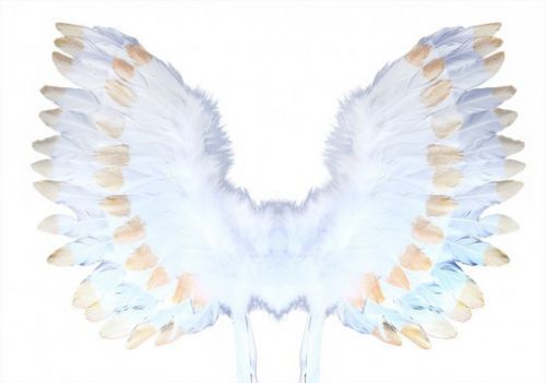 Andělská křídla s peřím - bílo - zlatá - 195547