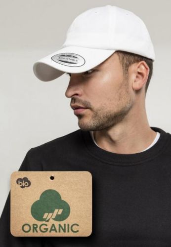 Low Profile Organic Cotton Cap black