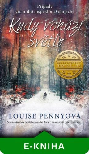 Kudy vchází světlo - Louise Penny
