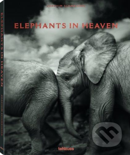 Joachim Schmeisser - ELEPHANTS IN HEAVEN