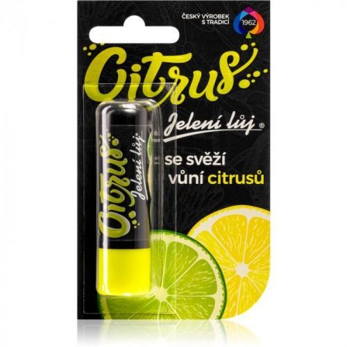 Regina Citrus jelení lůj citrus 4,5 g