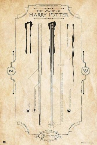 GRUPO ERIK Plakát, Obraz - Harry Potter - The Wand, (61 x 91,5 cm)