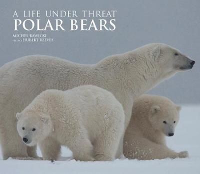 Polar Bears: A Life Under Threat - Rawicki